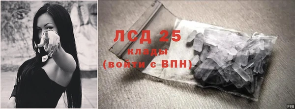 гашик Белокуриха