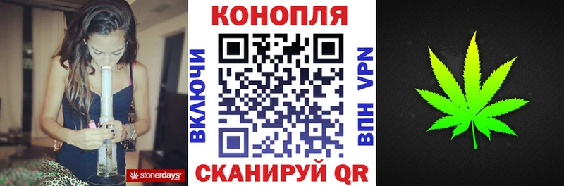 блэк спрут ссылка  Печора  Конопля сатива 